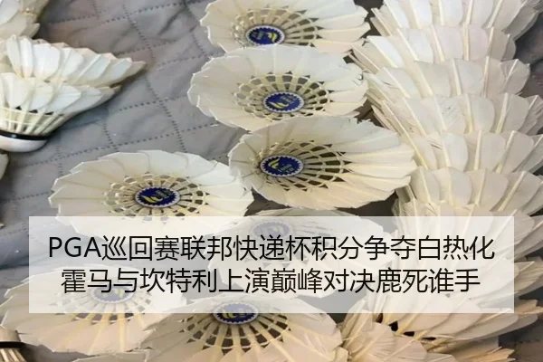 PGA巡回赛联邦快递杯积分争夺白热化 霍马与坎特利上演巅峰对决鹿死谁手
